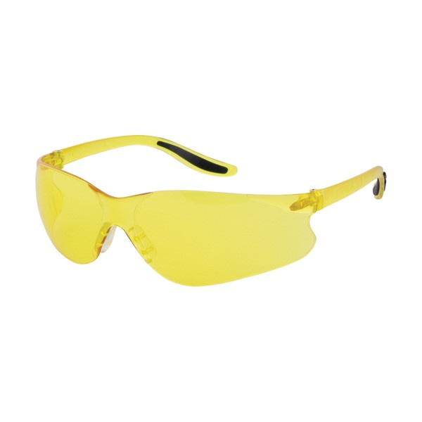 Z500 Series Safety Glasses (SKU: SAS363)