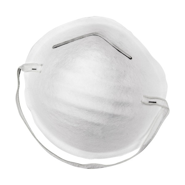 Disposable Nuisance Dust Mask (SKU: SGW858)